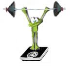 Workout Frog