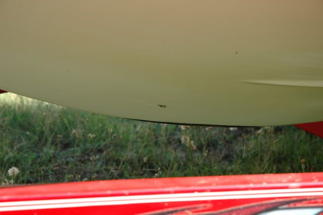DSC_0417.jpg
