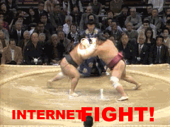 INTERNETFIGHT.gif