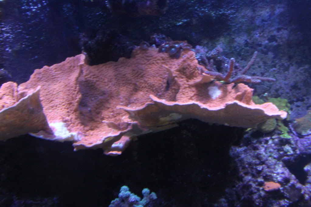 IMG_1204.jpg