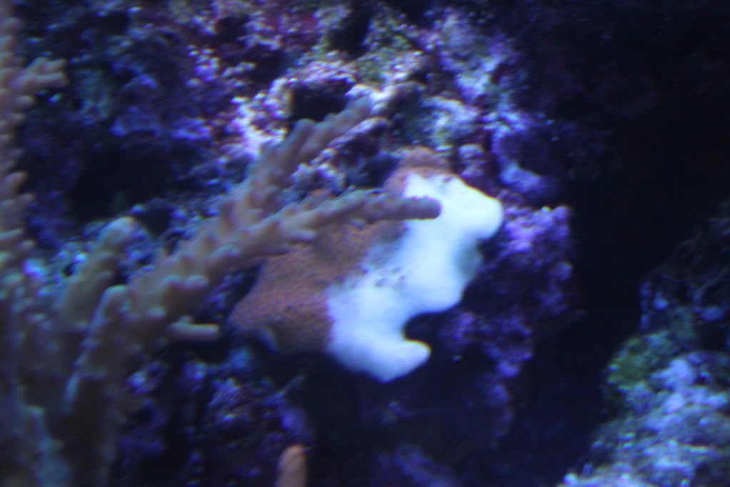 IMG_1205.jpg