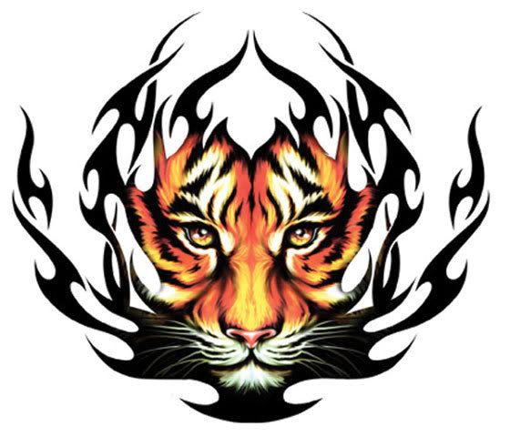 Let's look at the tiger tribal tattoo you see below.