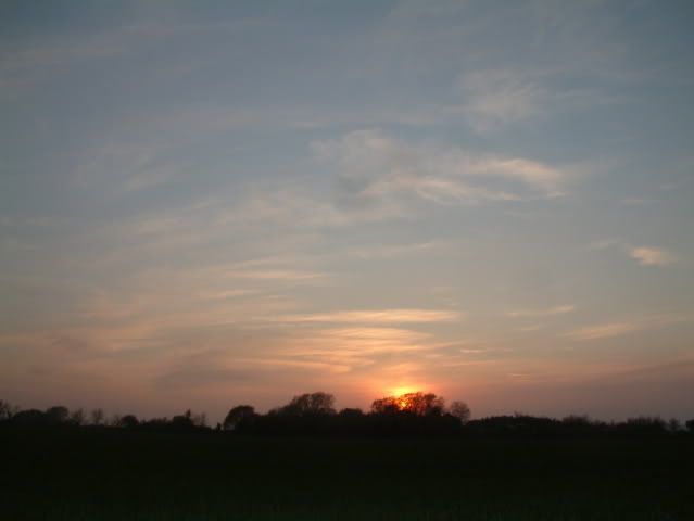 sun064.jpg