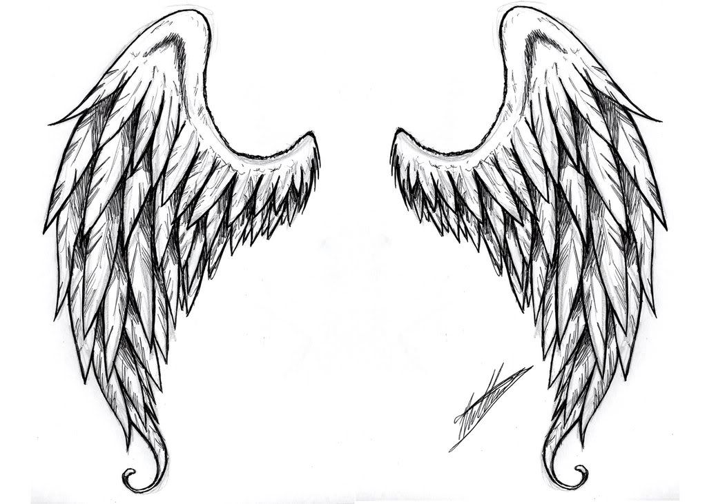 Angel Wing Tattoo Drawings