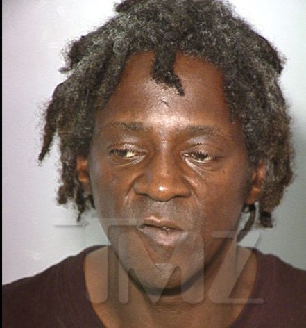  Celebrity Gossip on Foolish Activities  Flavor Flav   His Struggle Mugshot After Alleged