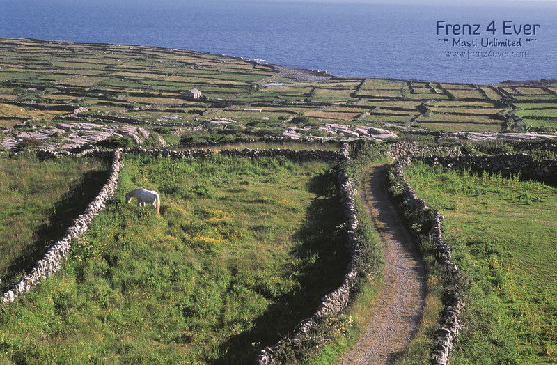 Irresistible Ireland Irresistible Ireland