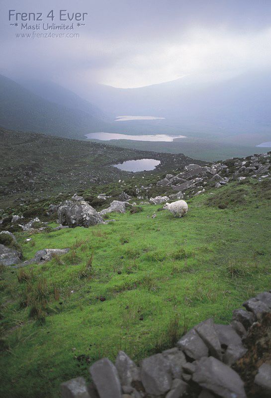 Irresistible Ireland Irresistible Ireland