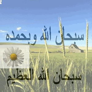islamic wallpaper Pictures, Images and Photos