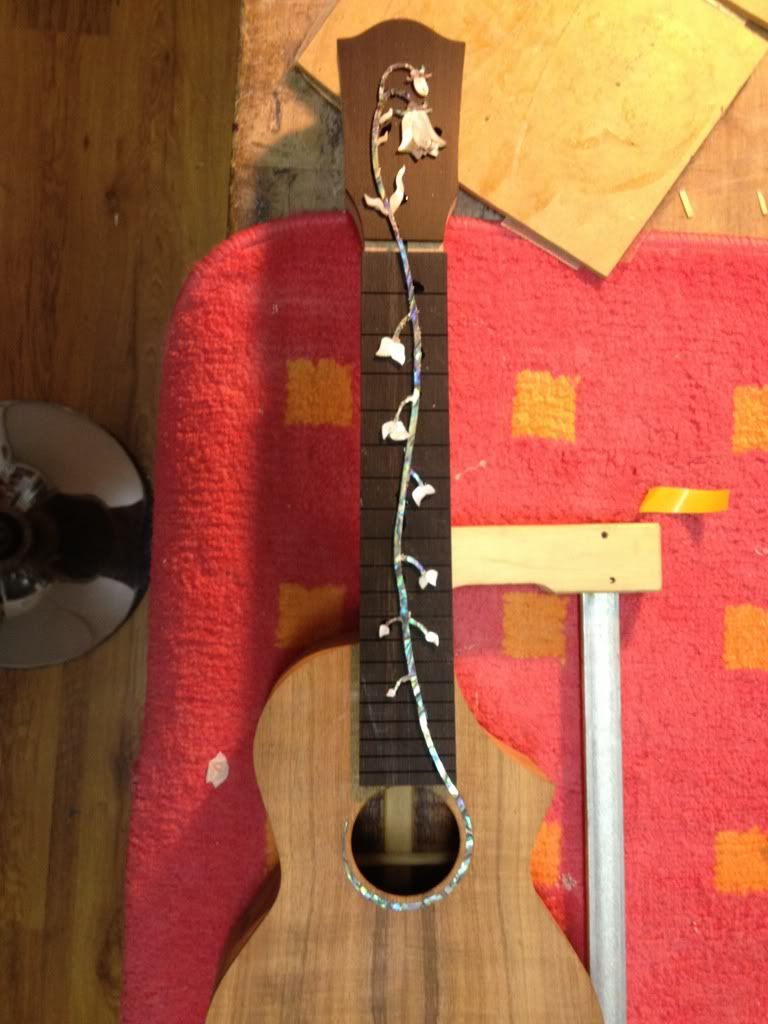 http://i368.photobucket.com/albums/oo128/ilmadness1980/ukulollo-forum/32.jpg