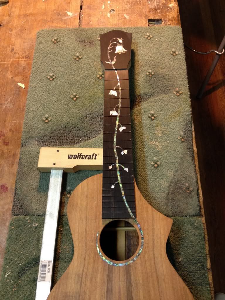 http://i368.photobucket.com/albums/oo128/ilmadness1980/ukulollo-forum/35.jpg