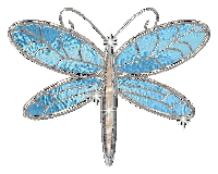 glitter dragonfly Pictures, Images and Photos