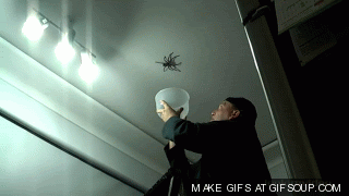  photo how-not-to-catch-a-spider-o.gif