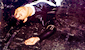 exhausted